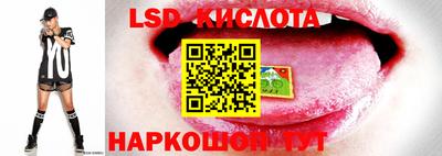 ГАЛЛЮЦИНОГЕННЫЕ ГРИБЫ Канаш
