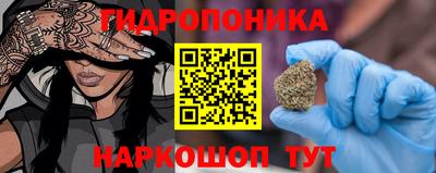 jwh Камышлов