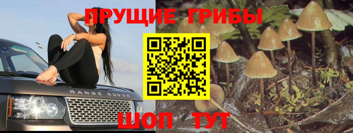 Галлюциногенные грибы Magic Shrooms  Вход с VPN  Волхов 