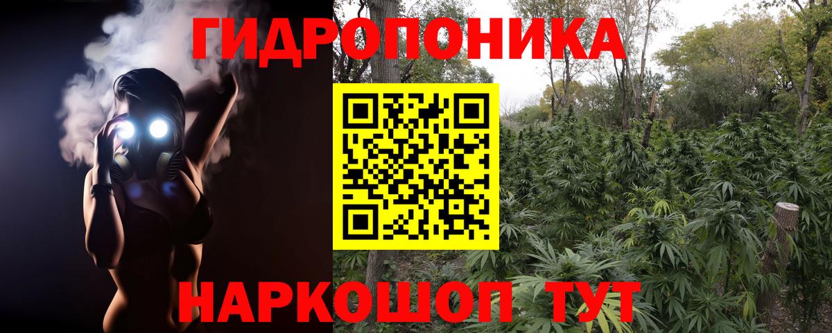 Каннабис планчик  Бошки Шишки Bruce Banner  Волхов  Вход с VPN  Канабис гибрид 